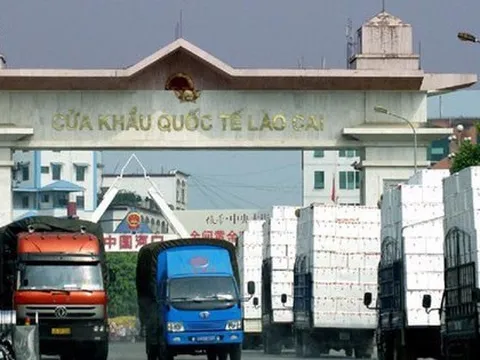 Xuất khẩu rau quả của Việt Nam đạt kỷ lục chưa từng có