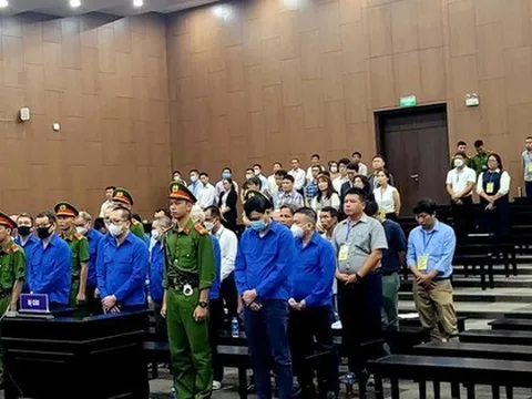 Cựu chủ tịch VEC Mai Tuấn Anh lĩnh 42 tháng tù do sai phạm cao tốc Đà Nẵng - Quảng Ngãi