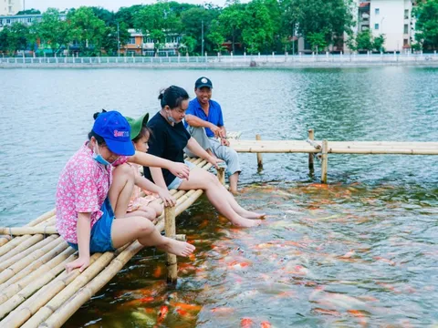 Dừng nuôi 8 tấn cá koi ở Hồ Tây