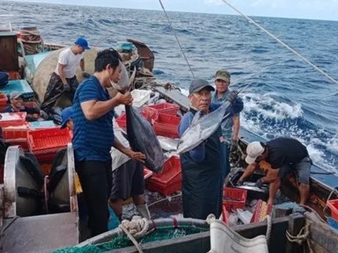 “Cùng ngư dân thắp sáng đèn trên biển” chung tay tháo gỡ thẻ vàng IUU