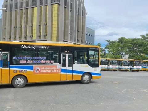 Đà Nẵng sẽ mở thủ tục phá sản đối với doanh nghiệp nợ bảo hiểm lớn, thời gian kéo dài