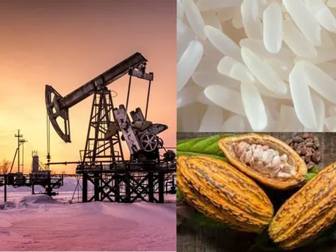 Thị trường ngày 28/10: Giá dầu, vàng, quặng sắt tăng, cacao lập kỷ lục mới, gạo giảm tiếp