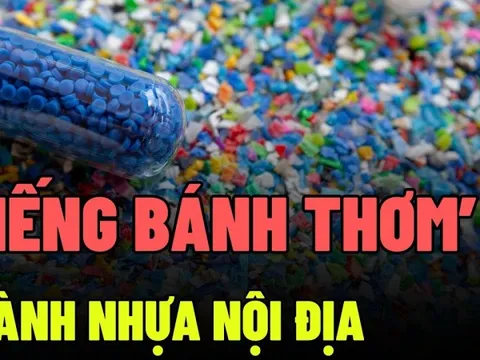 Vì sao doanh nghiệp nhựa luôn nằm trong tầm ngắm thâu tóm của đại gia Thái Lan?