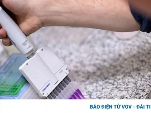 Brazil phát triển vaccine chống nghiện cocaine