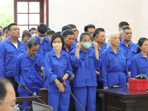 Thu lời bất chính hàng trăm tỉ đồng, 2 "đại gia sinh đôi" lan đột biến lĩnh án 2-3 năm tù