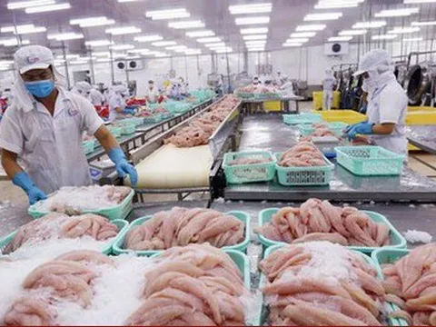 Xuất khẩu thủy sản dần phục hồi