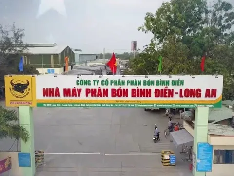 Ngược chiều ngành phân bón, quý 3/2023, Bình Điền (BFC) báo lãi gấp hơn 13 lần cùng kỳ