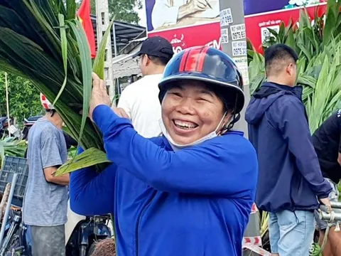 Nông dân phấn khởi nhận 10.000 cây dừa trồng phủ xanh vùng đất cát