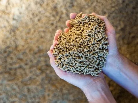 Một kho báu mới nổi của Việt Nam trở thành cứu tinh cho Trung Quốc: Sản lượng đứng thứ 8 thế giới, thu về gần 1 tỷ USD trong 9 tháng