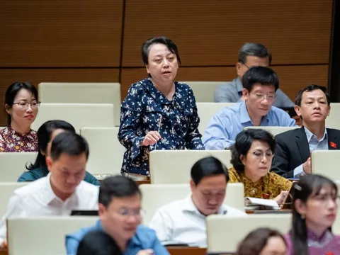 Đại biểu Phạm Khánh Phong Lan: Quy định, thủ tục y tế quá phức tạp và chậm sửa đổi