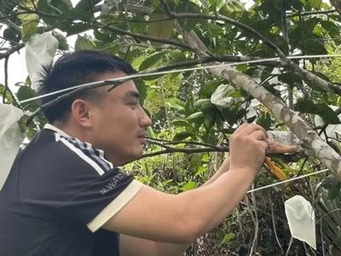 Nghề nuôi thiên địch