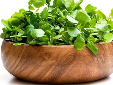 Loại rau của Việt Nam được xem tốt nhất thế giới