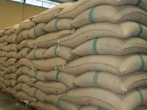 Nhiều cường quốc 'xếp hàng' nhập khẩu, có thị trường tăng gần 12.000% - Giá “hạt ngọc” của Việt Nam tăng ra sao kể từ đầu năm?