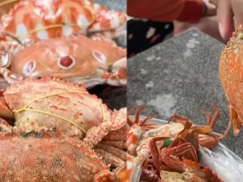 Ăn ghẹ bao năm mới biết có tận 5 loại, người dân vùng biển chỉ con nào ngon nhất