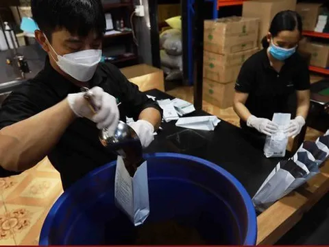 Cơ hội xuất khẩu chính ngạch cà phê sang Trung Quốc