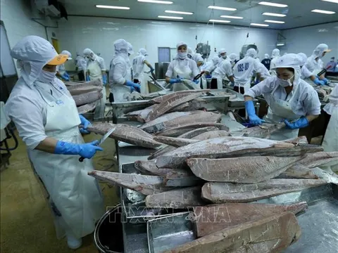 Nông, lâm, thủy sản xuất siêu trên 43 tỷ USD