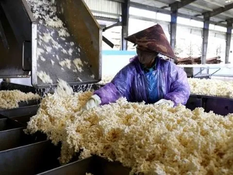Sau gạo và đường, thêm một loại nông sản gặp bão giá do Ấn Độ - Là mặt hàng Việt Nam cũng đang nhập khẩu hàng triệu tấn