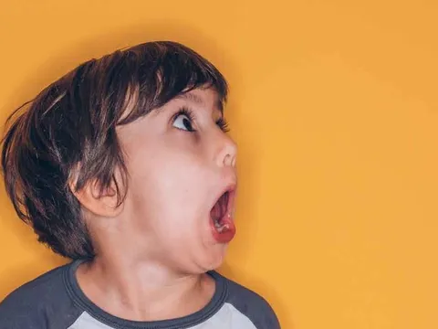 Bức tranh toàn cảnh mùa BCTC quý 3/2023 đã hoàn chỉnh: Những nhóm ngành nào vượt trội?