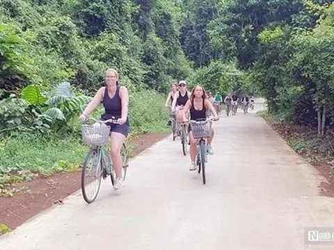 Hải Phòng đón hơn 825.000 lượt khách du lịch quốc tế