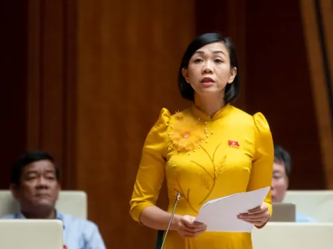 VIDEO: Đại biểu QH đề xuất “Việt Nam phát triển ngành hạt nhân nguyên tử”