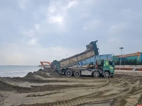 Triển khai phương án đảm bảo thi công dự án cảng container Long Sơn