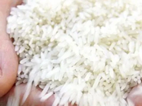 Giá gạo xuất khẩu lập đỉnh mới
