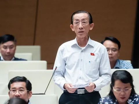 Đại biểu Trần Hoàng Ngân: Nên áp dụng giảm thuế GTGT cho tất cả mặt hàng