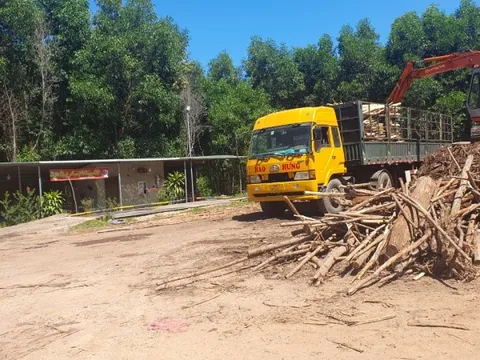 "Đột nhập" những trạm cân keo tràm "4 không" mà chính quyền khó xử lý