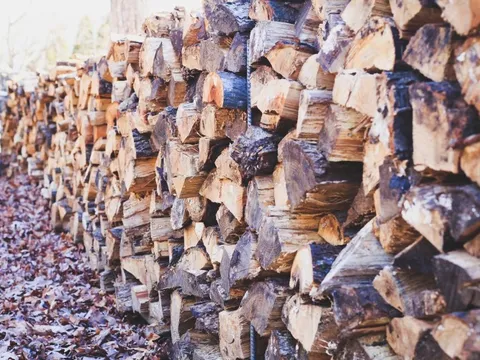 "Cây tỷ đô" của Việt Nam liên tục được Ấn Độ đổ tiền mua, xuất khẩu tăng mạnh gần 300% trong 9 tháng đầu năm