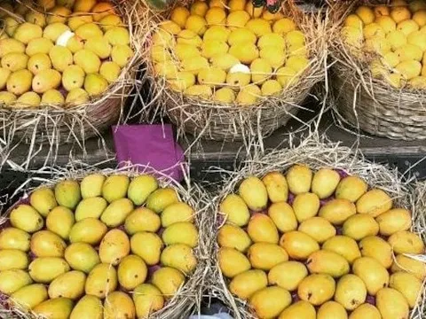 Một loại quả của Việt Nam khiến cựu Đại sứ Hoa Kỳ cũng phải xuýt xoa khen ngợi 'ngon nhất thế giới': Trung Quốc, Hàn Quốc cực mê mẩn, xuất khẩu hàng trăm triệu USD