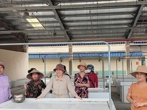 Quảng Nam: Tiểu thương chợ Đông Phú kiến nghị mở rộng ki ốt