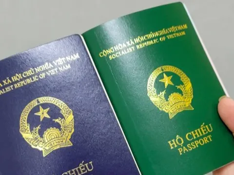 Nữ giám đốc doanh nghiệp bị tạm dừng xuất cảnh