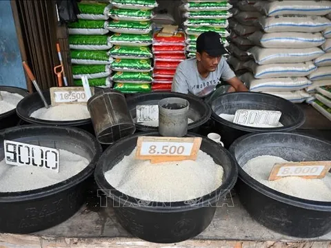 Indonesia nhập khẩu thêm gạo từ Việt Nam, Thái Lan, Pakistan và Myanmar
