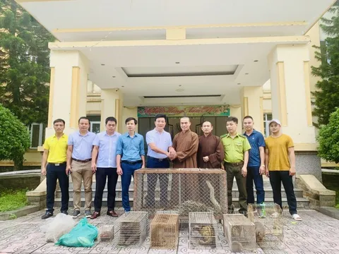 Vườn Quốc gia Vũ Quang tiếp nhận 14 cá thể động vật hoang dã quý hiếm