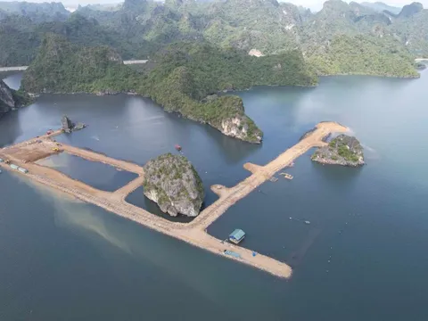 Vùng đệm vịnh Hạ Long bị san lấp làm biệt thự, nhà liền kề?