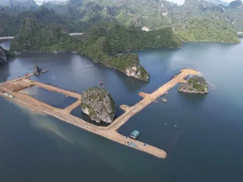 Bộ VH-TT-DL nói gì vụ vùng đệm vịnh Hạ Long bị san lấp làm khu đô thị?