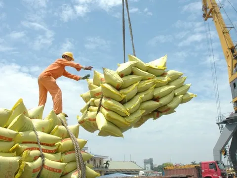 Một mặt hàng Trung Quốc nhập khẩu cực nhiều từ Việt Nam, chiếm 1/5 tổng hàng nhập khẩu của quốc gia tỷ dân này