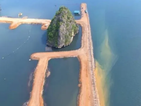 Đỗ Gia Capital bị phạt 125 triệu đồng vì xây dựng dự án ảnh hưởng môi trường biển Quảng Ninh