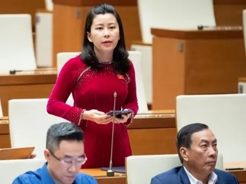 Hàng giả mua bán trên mạng vẫn "nhức nhối", ĐBQH “truy” Bộ trưởng Bộ Công Thương