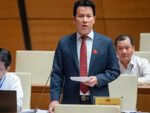 Bộ trưởng Bộ TN-MT: Địa phương không đủ rác nên không xây được nhà máy xử lý