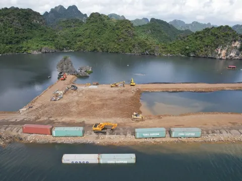 Vụ lấp vùng đệm vịnh Hạ Long: Chủ đầu tư bị phạt 125 triệu đồng