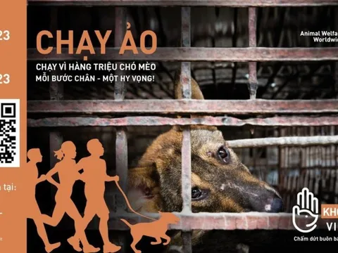 Chạy vì hàng triệu chó, mèo