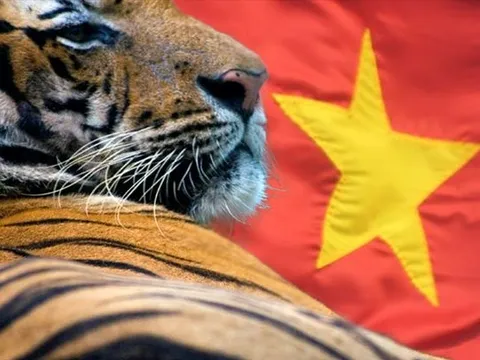 Asia Times: Việt Nam sẽ khẳng định tư cách cường quốc xuất khẩu công nghệ cao, một "con hổ châu Á" sắp xuất hiện