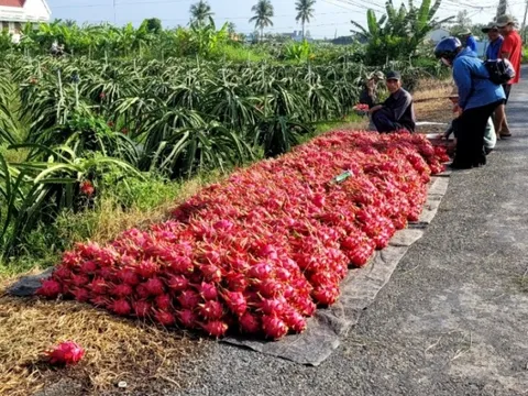 Cuối mùa mưa nhiều loại trái cây tăng giá