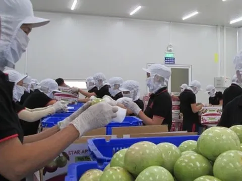 Để nông sản Việt rộng đường đến châu Âu