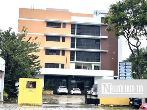 EVN Quốc Tế đạt lợi nhuận cao nhờ hoạt động tài chính