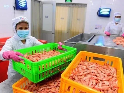 Lao động nghỉ việc hưởng trợ cấp thất nghiệp tăng
