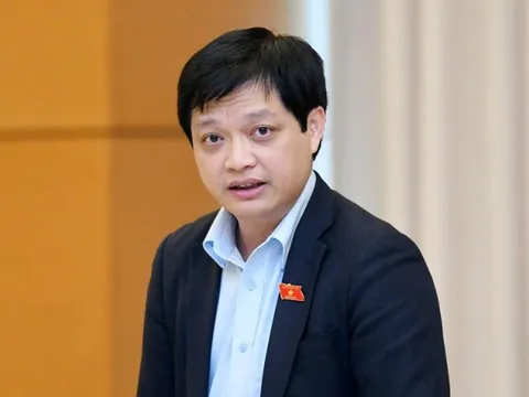 ĐBQH: Nên có ưu đãi đi kèm khi áp thuế tối thiểu toàn cầu