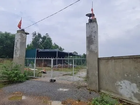 Quảng Bình: HTX lớn nhất một huyện chiếm và hủy hoại hơn 7.000m2 đất