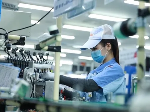 Tổng cục Thuế muốn DN cung cấp thông tin để áp dụng thuế tối thiểu toàn
